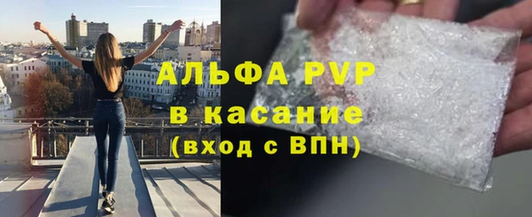 индика Волосово